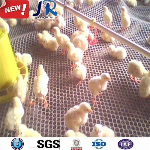 布拖养鸡网设备养鸡行业门户专用